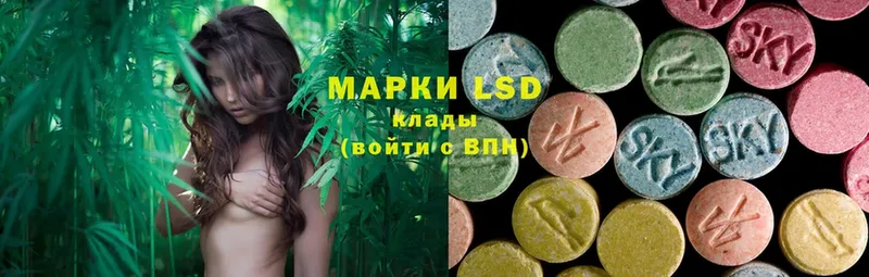 blacksprut сайт  Касимов  LSD-25 экстази кислота  закладки 